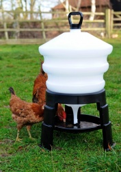 Tripod Chicken Drinker